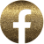 logo FAce